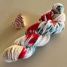 Load image into Gallery viewer, It’s Beginning to Look a Lot Like Christmas Hand Dyed 100% Merino Wool Superwash Chunky Yarn