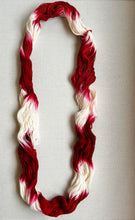 Load image into Gallery viewer, OOAK Variant (Trial 6) of Velvet -  Hand Dyed Merino Wool, Cashmere and Nylon Superwash Sock/Fingering Yarn