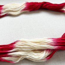 Load image into Gallery viewer, Variant Batch (Trial 4) of Velvet - Hand Dyed Merino Wool and Camel Worsted Yarn