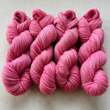 Load image into Gallery viewer, Hank in There Hand Dyed Superwash Merino Wool & Nylon Sparkle Sock Yarn (Lighter Lot)