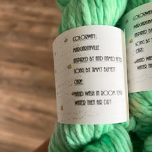 Load image into Gallery viewer, Margaritaville Hand Dyed 100% Andean Highland Wool Chunky Yarn