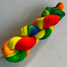 Load image into Gallery viewer, Birds of a Feather Hand Dyed Superwash Merino Wool Extra Soft DK Yarn