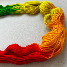 Load image into Gallery viewer, Birds of a Feather Hand Dyed Superwash Merino Wool Extra Soft DK Yarn
