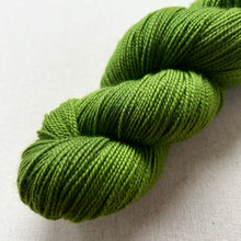 Load image into Gallery viewer, The Curse Hand Dyed Merino Wool & Recycled Nylon Superwash Yarn