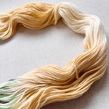 Load image into Gallery viewer, OOAK Variant of It’s Beginning to Look a Lot Like Christmas (Trial 10) Hand Dyed Merino Wool Superwash DK Yarn