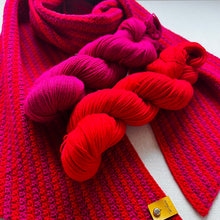 Load image into Gallery viewer, We Got the Beet - Lot 2 - Hand Dyed Merino Wool & Nylon Superwash Yarn