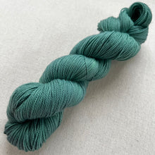 Load image into Gallery viewer, the wind was blowing Hand Dyed Merino Wool & Recycled Nylon Superwash Sock/Fingering Yarn