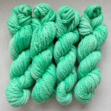 Load image into Gallery viewer, Margaritaville Hand Dyed 100% Andean Highland Wool Chunky Yarn