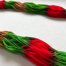 Load image into Gallery viewer, OOAK Variant (Trial 2) of Apple Orchard Hand Dyed Merino Wool & Nylon Superwash Yarn