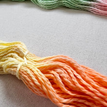 Load image into Gallery viewer, Marshmallow World Hand Dyed 100% Merino Wool Superwash Chunky Yarn