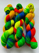 Load image into Gallery viewer, Birds of a Feather Hand Dyed Superwash Merino Wool Extra Soft DK Yarn