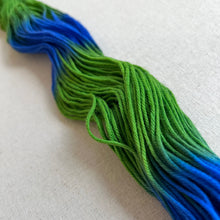 Load image into Gallery viewer, OOAK Variant of Birds of a Feather (Trial 1) Hand Dyed 100% Merino Wool Superwash Extra Soft DK Yarn
