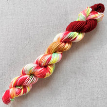 Load image into Gallery viewer, OOAK Variant (Trial 5) of Phat Butt - Hand Dyed Merino Wool & Recycled Nylon Superwash Yarn - Mini Hank