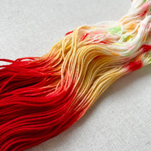 Load image into Gallery viewer, Phat Butt Hand Dyed Fine Superwash Merino Wool Sock Yarn