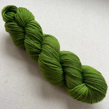 Load image into Gallery viewer, The Curse Hand Dyed Merino Wool & Recycled Nylon Superwash Yarn