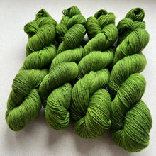 Load image into Gallery viewer, The Curse Hand Dyed Merino Wool & Recycled Nylon Superwash Yarn