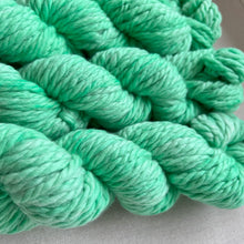Load image into Gallery viewer, Margaritaville Hand Dyed 100% Andean Highland Wool Chunky Yarn