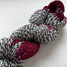 Load image into Gallery viewer, OOAK Variant (Trial 5) of Velvet -  Hand Dyed Marled Wool Yarn