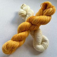 Load image into Gallery viewer, Carmen Hand Dyed 100% Merino Wool Superwash Extra Soft DK Yarn