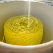 Load image into Gallery viewer, Jeepers Creepers Hand Dyed Superwash Merino Wool & Nylon Sock Yarn
