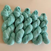 Load image into Gallery viewer, Mother Big River Hand Dyed Superwash Merino Wool & Nylon Sparkle Sock Yarn