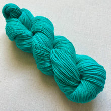 Load image into Gallery viewer, Did you know that there’s a tunnel under Ocean Blvd - Hand Dyed Merino Wool & Nylon Superwash Yarn