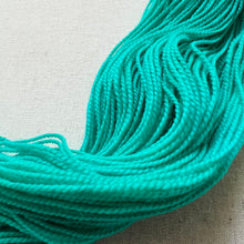 Load image into Gallery viewer, Did you know that there’s a tunnel under Ocean Blvd - Hand Dyed Merino Wool & Nylon Superwash Yarn
