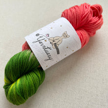 Load image into Gallery viewer, OOAK Variant (Trial 1) of Watermelon Hand Dyed Superwash 100% Merino Wool Worsted Yarn