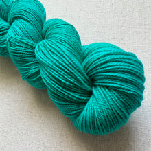 Load image into Gallery viewer, Did you know that there’s a tunnel under Ocean Blvd - Hand Dyed Merino Wool & Nylon Superwash Yarn