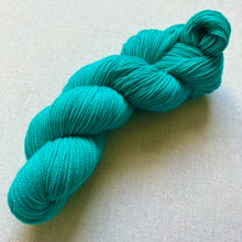 Load image into Gallery viewer, Did you know that there’s a tunnel under Ocean Blvd - Hand Dyed Merino Wool & Nylon Superwash Yarn