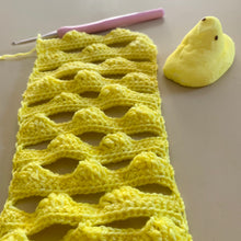 Load image into Gallery viewer, Jeepers Creepers Hand Dyed Superwash Merino Wool & Nylon Sock Yarn