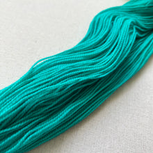 Load image into Gallery viewer, Did you know that there’s a tunnel under Ocean Blvd - Hand Dyed Merino Wool & Nylon Superwash Yarn