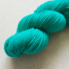 Load image into Gallery viewer, Did you know that there’s a tunnel under Ocean Blvd - Hand Dyed Merino Wool & Nylon Superwash Yarn