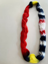 Load image into Gallery viewer, Hellfire Club Hand Dyed Superwash Merino Wool and Recycled Nylon Sock Yarn