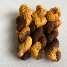 Load image into Gallery viewer, The Twist Hand Dyed Superwash Merino Wool, Cashmere & Nylon Sock Yarn