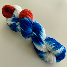 Load image into Gallery viewer, OOAK Variant (Trial 1) Scoops Troop Hand Dyed Merino Wool, Cashmere & Nylon Superwash Yarn