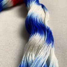 Load image into Gallery viewer, Scoops Troop Hand Dyed Merino Wool & Nylon Superwash Yarn