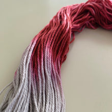 Load image into Gallery viewer, There’s Something in the House Hand Dyed Superwash 100% Merino Wool Worsted Yarn