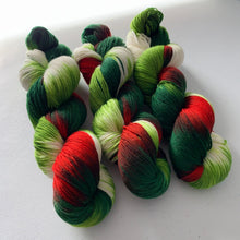 Load image into Gallery viewer, Mistletoe and Holly Hand Dyed Superwash Merino Wool, Cashmere & Nylon Sock Yarn