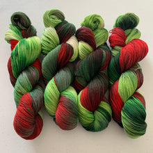 Load image into Gallery viewer, Mistletoe and Holly Hand Dyed Non-Superwash Organic Merino Wool and Biodegradable Nylon Weight 1 Yarn