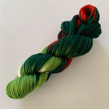 Load image into Gallery viewer, OOAK Variant (Trial 3) of Mistletoe and Holly Hand Dyed 100% Merino Wool Superwash DK Yarn