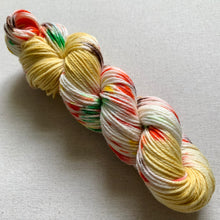 Load image into Gallery viewer, Triple Decker Waffle Eggo Extravaganza Hand Dyed Superwash 100% Merino Wool Worsted Yarn
