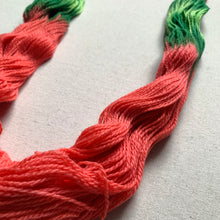 Load image into Gallery viewer, OOAK Variant (Trial 6) of Watermelon Sugar Hand Dyed Superwash 100% Merino Wool Sock Yarn