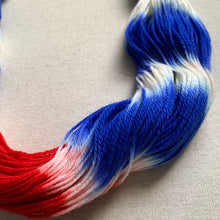 Load image into Gallery viewer, Scoops Troop Hand Dyed Merino Wool & Nylon Superwash Yarn