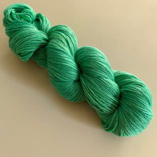 Load image into Gallery viewer, I Know What I Saw Hand Dyed Merino Wool & Nylon Superwash Yarn