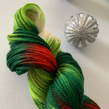 Load image into Gallery viewer, Mistletoe and Holly Hand Dyed Superwash Merino Wool DK Yarn