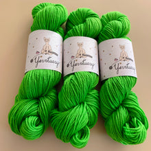 Load image into Gallery viewer, Not Chinese Food Hand Dyed Superwash 100% Merino Wool Worsted Yarn