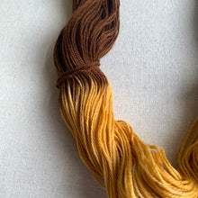 Load image into Gallery viewer, The Twist Hand Dyed Superwash Merino Wool & Nylon Sock Yarn