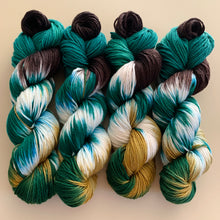 Load image into Gallery viewer, Still Pretty Mike-Inspired Hand Dyed Superwash Merino Wool Worsted Yarn