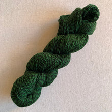 Load image into Gallery viewer, Colder Weather Hand Dyed Marled Wool Yarn